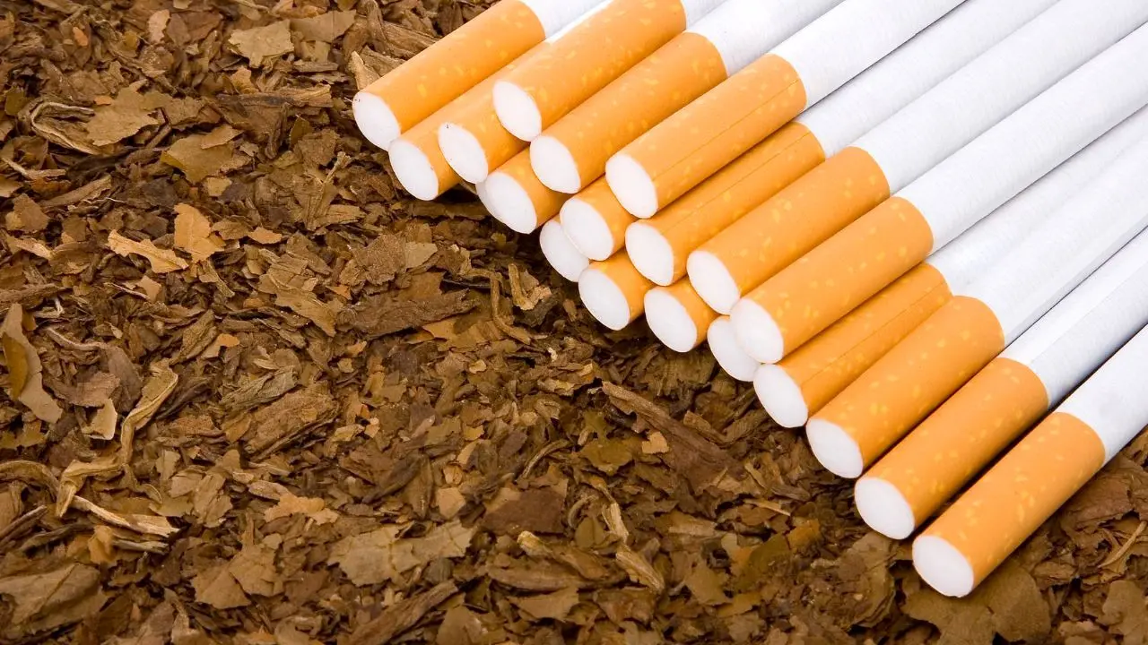 تولید سیگار همچنان صعودی