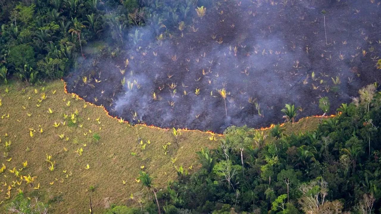 برزیل از اظهارات ماکرون درباره آتش‌سوزی جنگل‌های آمازون انتقاد کرد