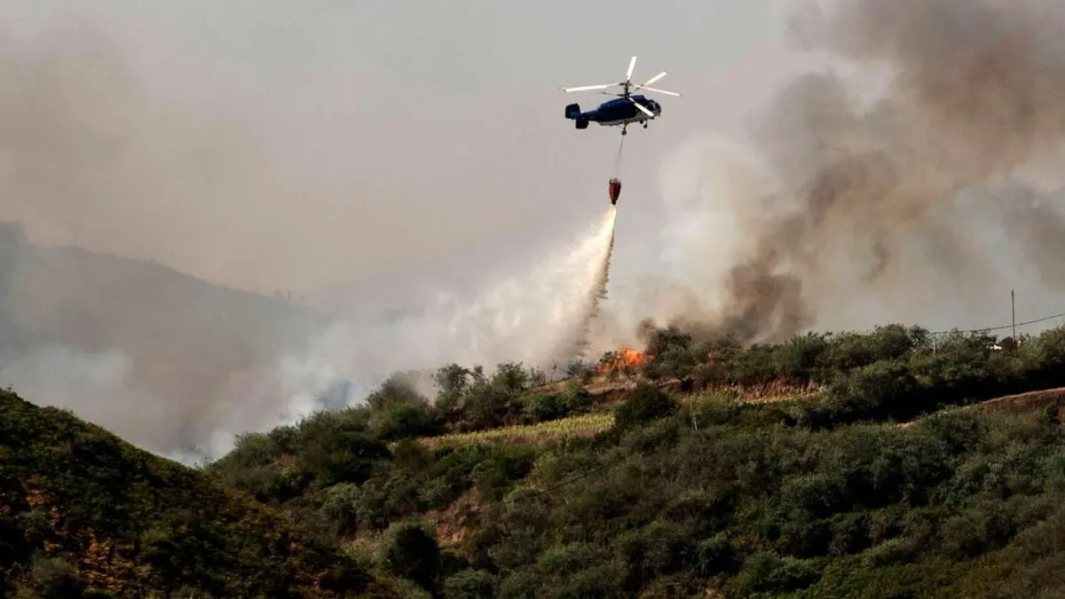 آتش‌سوزی جنگل‌ها در جزایر قناری + ویدئو