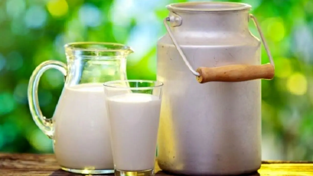 تولید شیر خام افزایش یافت