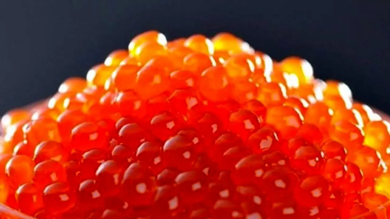 سرنوشت مبهم250 میلیون قطعه تخم چشم زده وارداتی