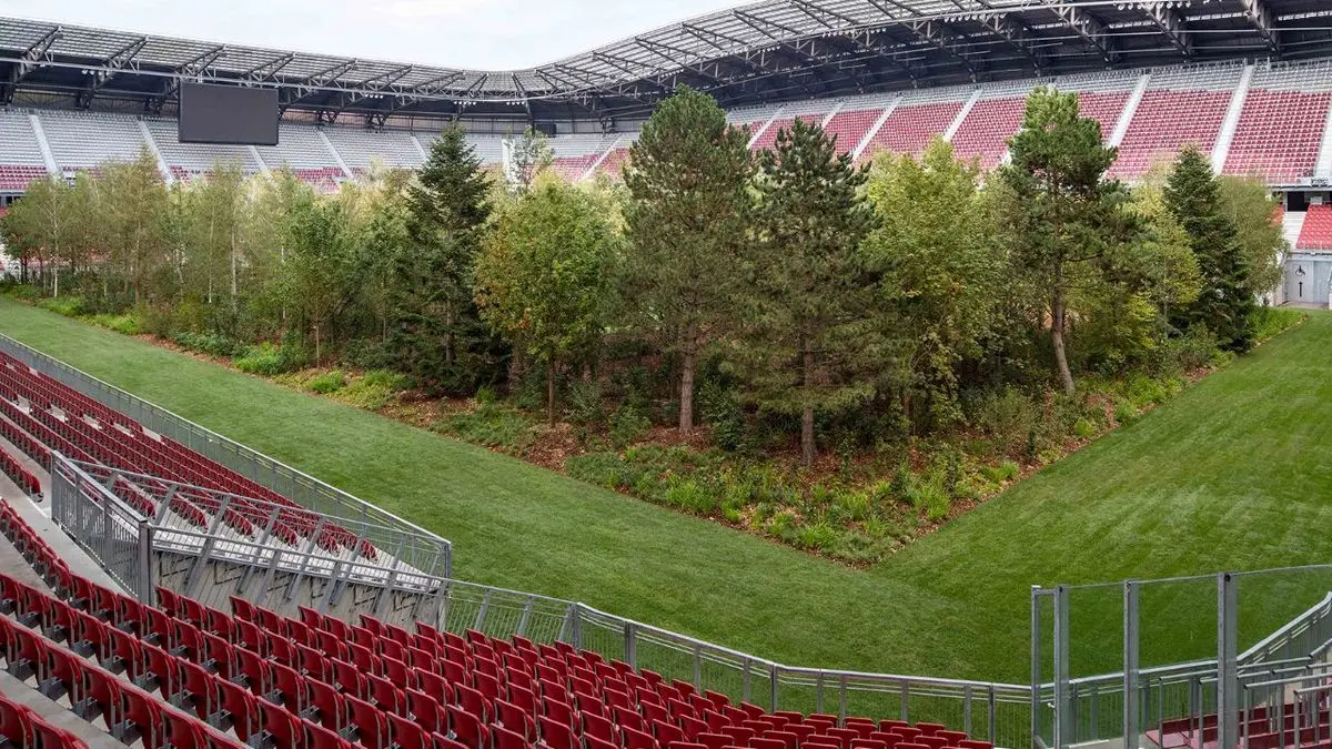 هنرمند سوئیسی، استادیوم فوتبال را به جنگل تبدیل کرد + ویدئو