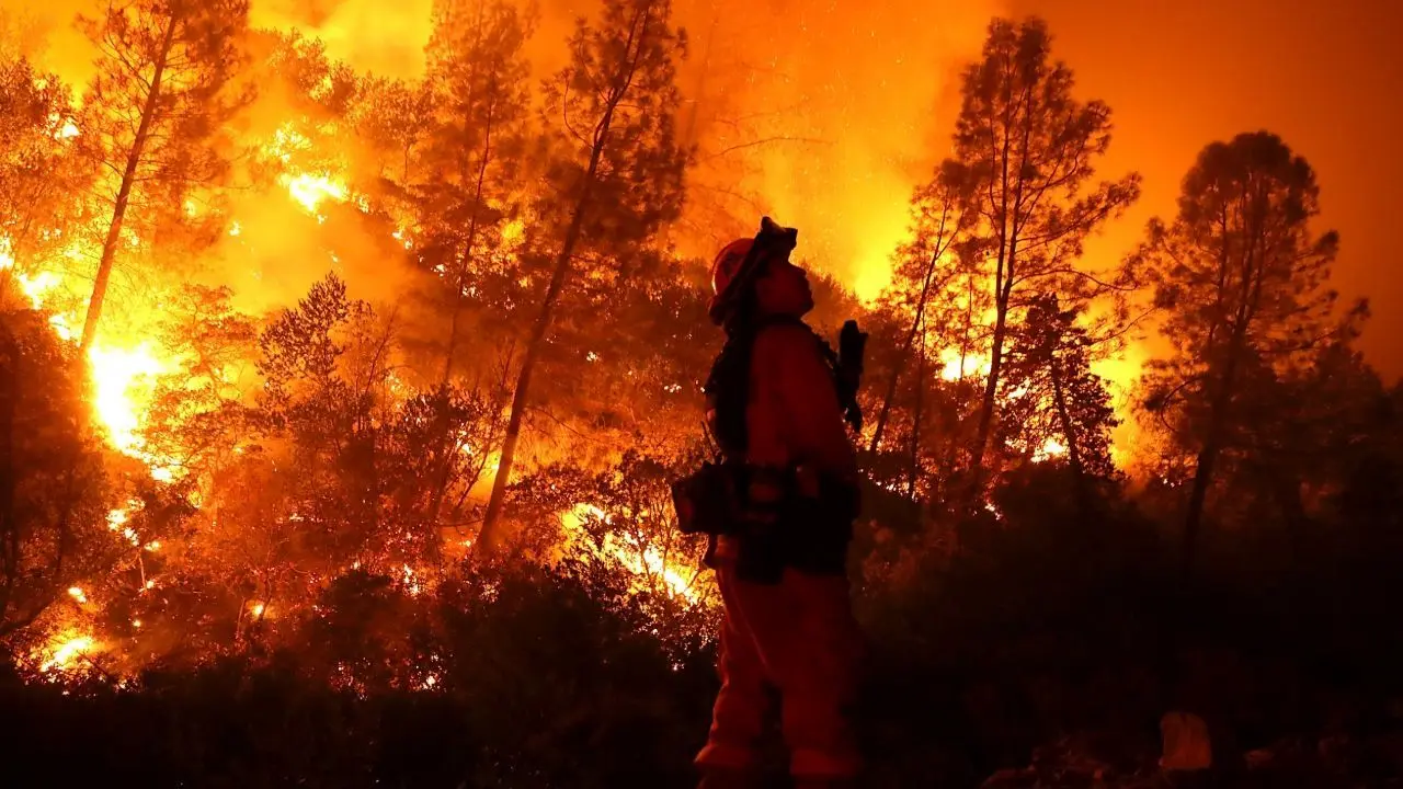 مرگبارترین آتش‌سوزی‌ها در جنگل‌های جهان؛ از میرامیچی کانادا تا شنبه سیاه استرالیا
