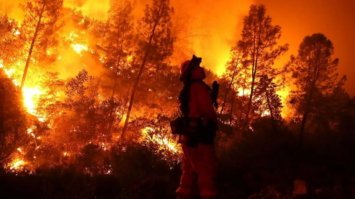 مرگبارترین آتش‌سوزی‌ها در جنگل‌های جهان؛ از میرامیچی کانادا تا شنبه سیاه استرالیا