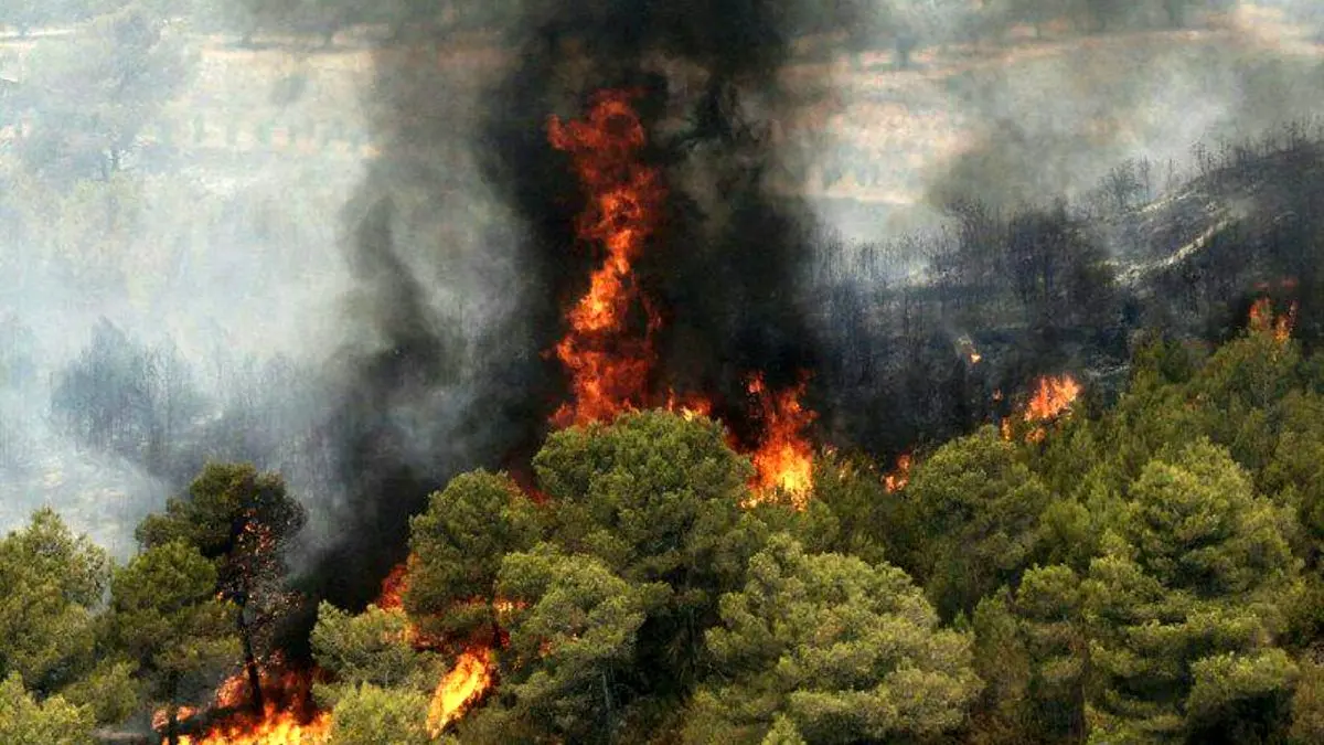 گردشگران، عامل آتش‌سوزی در پارک کوهستانی دراک شیراز