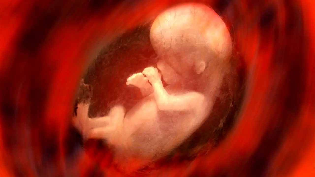 حدود 3 هزار نفر مجوز سقط جنین دریافت کرده‌اند