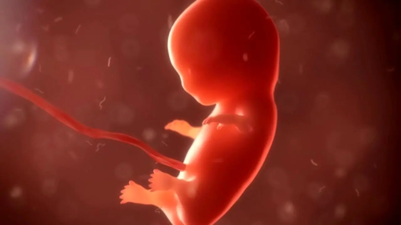 1382 سقط جنین به دنبال غربالگری ژنتیک اتفاق افتاد