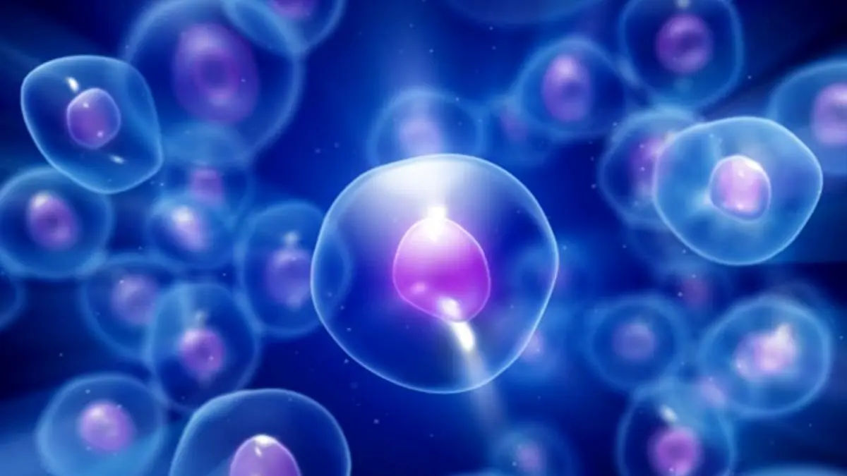 سالانه 4752 تن به بدخیمی‌های خونی در کشور مبتلا می‌شوند