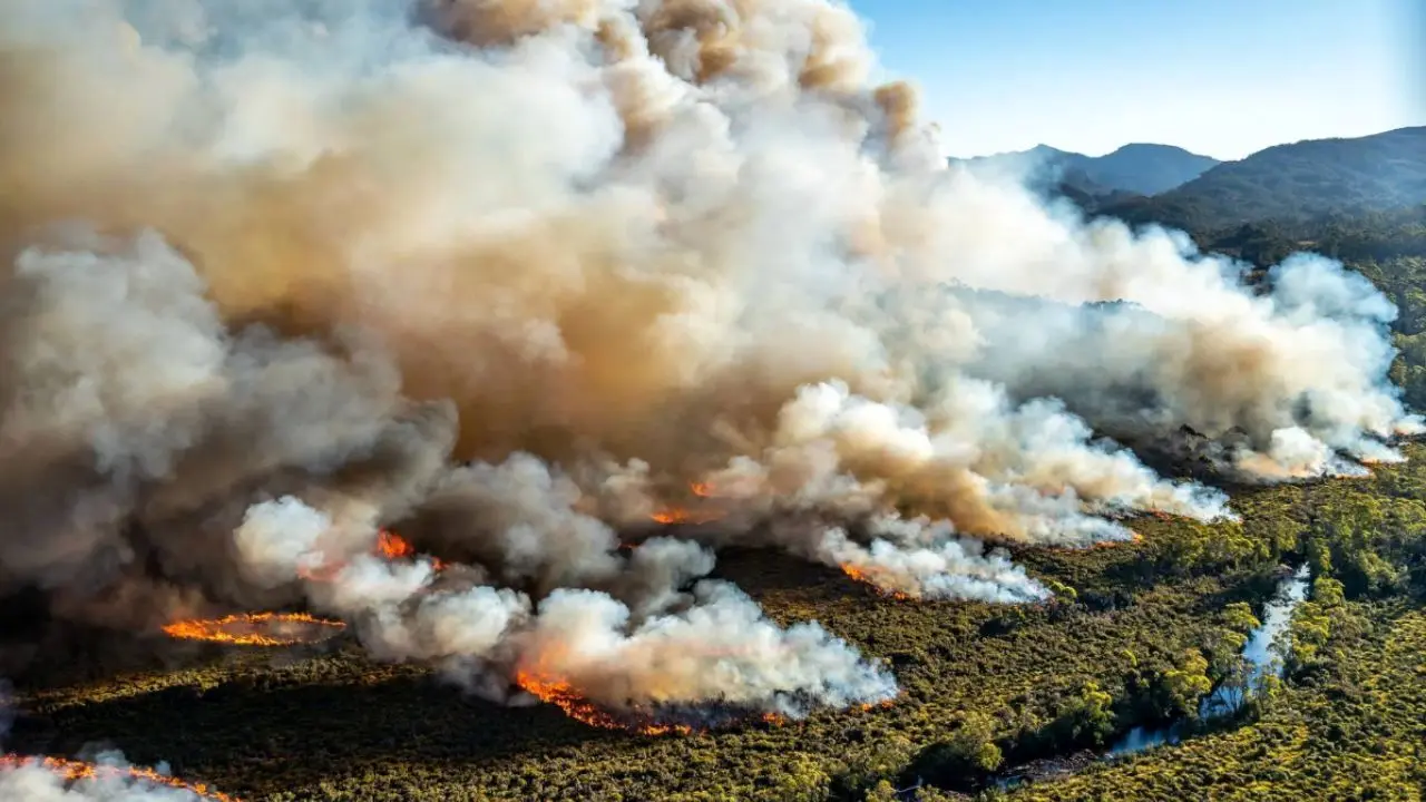 نبود بالگرد، میزان خسارت آتش‌سوزی در جنگل‌ها را افزایش داده است