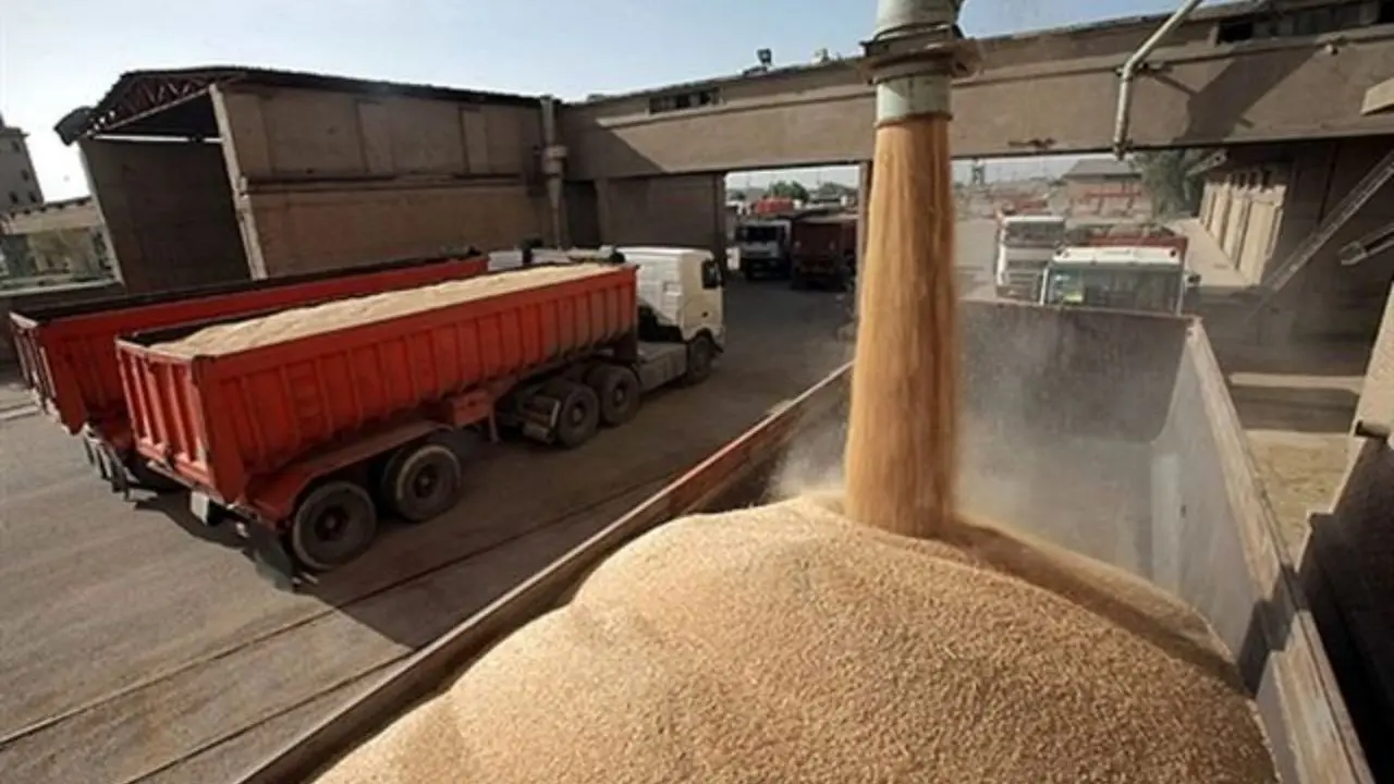 14 میلیون تن گندم تولید شد