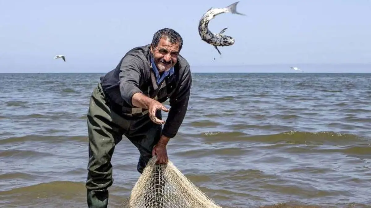 صید ماهیان استخوانی دریای خزر 15 مهر آغاز می شود
