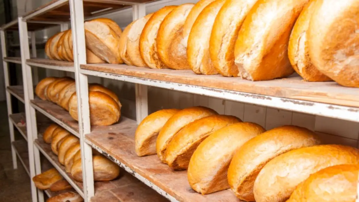 مخالفت با افزایش قیمت نان های حجیم/ تمام واحدها موظف به فروش با نرخ مصوب هستند