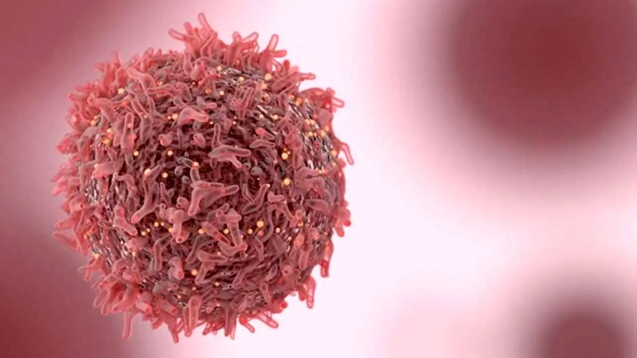 نابود کردن سلول‌های مقاوم سرطان پستان با یک ترکیب دارویی جدید