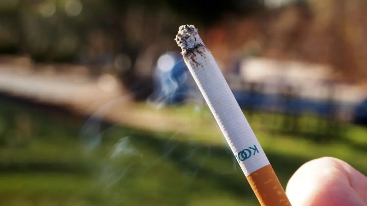 سیگار کشیدن در پارک‌های کالیفرنیا ممنوع شد