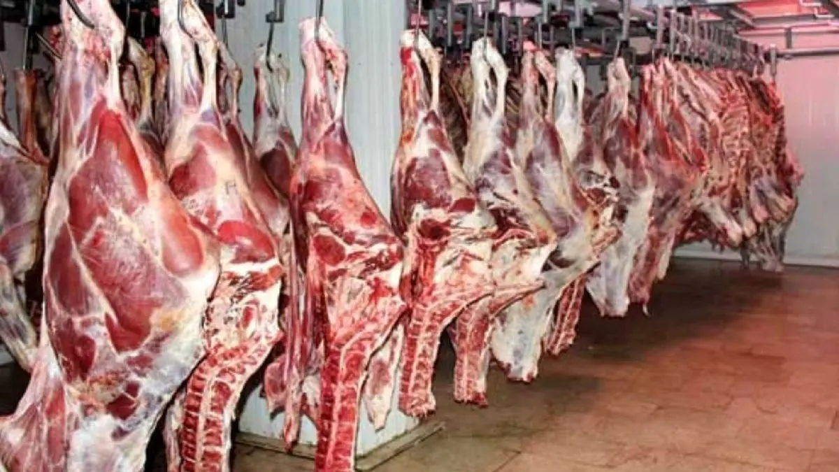 قیمت گوشت گوساله 30هزارتومان کاهش یافت/ تداوم روند نزولی در بازار