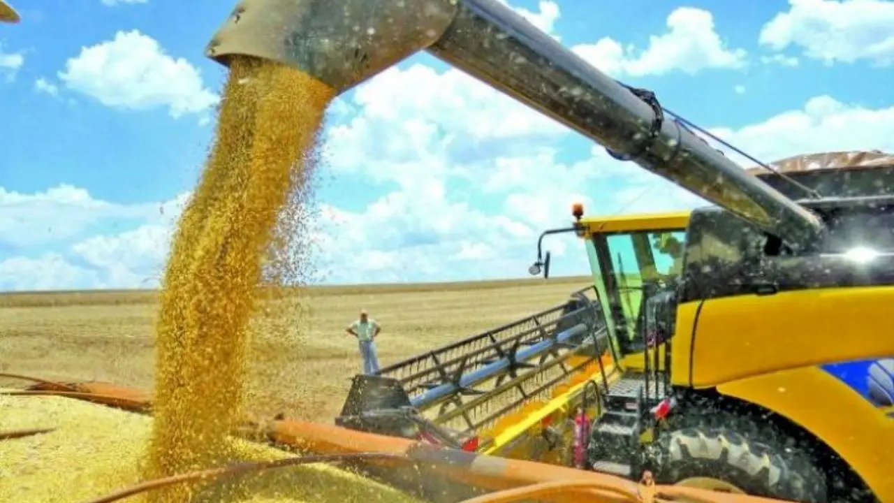 صادرات گندم آمریکا 24 درصد کاهش یافت