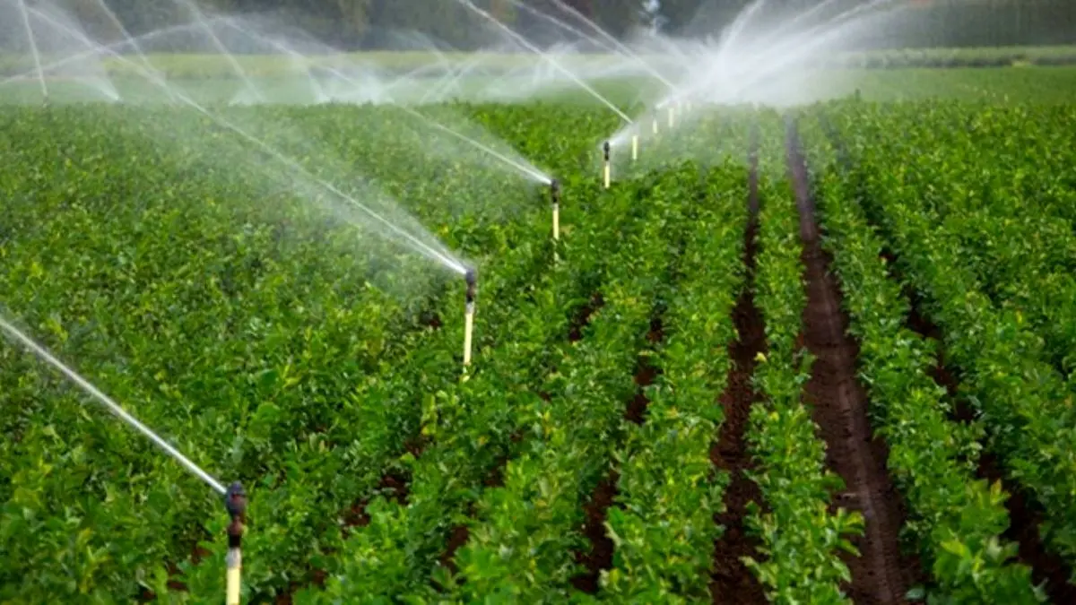 2 میلیون و 200 هکتار اراضی کشاورزی کشور به سیستم آبیاری نوین تجهیز شدند