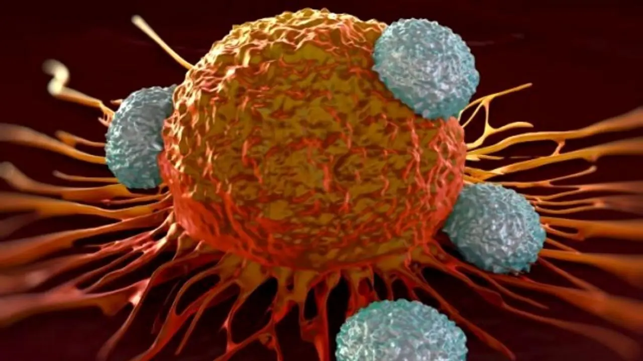 شناسایی سلول‌هایی که رشد تومور را در روده تقویت می‌کنند
