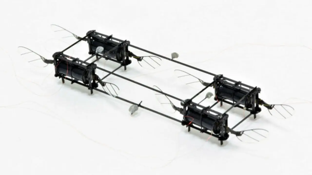 زنبورهای رباتیک برای استفاده در عملیات‌های امداد و نجات ساخته شد