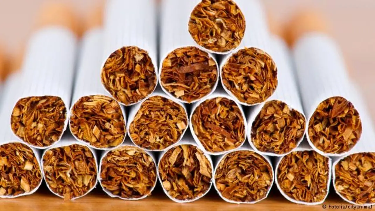 واردات 18 میلیون دلاری کاغذ سیگار