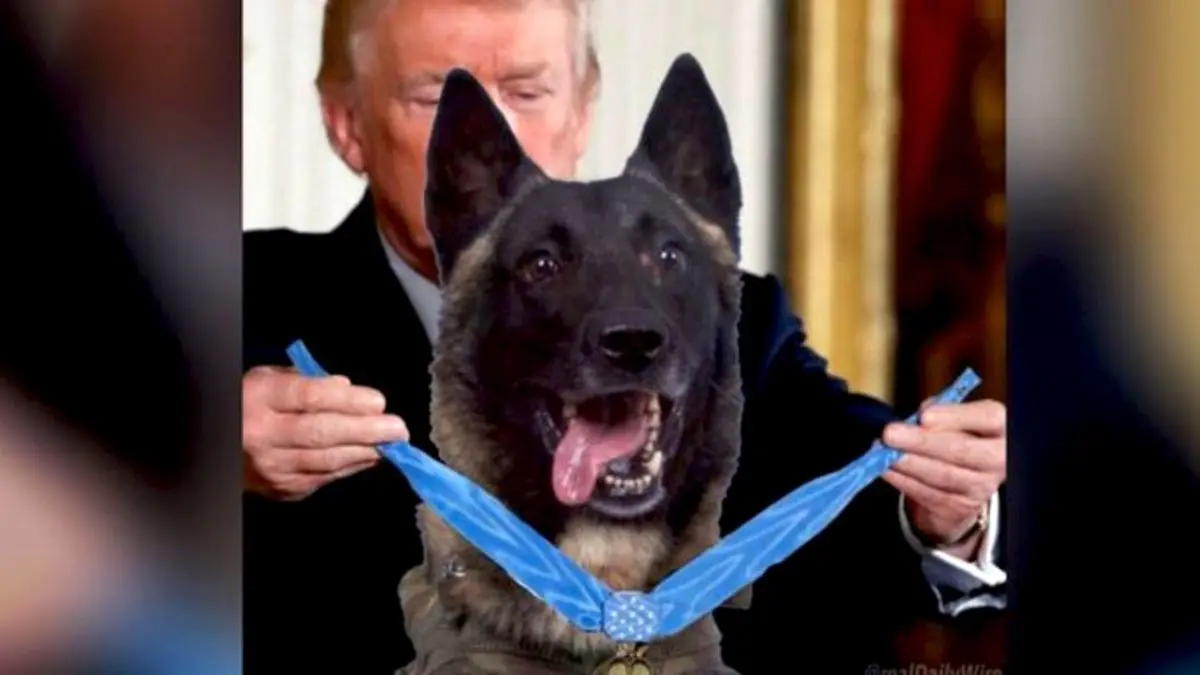 ترامپ: رسانه‌ها با سگ عملیات قتل «البغدادی» بهتر از من برخورد می‌کنند
