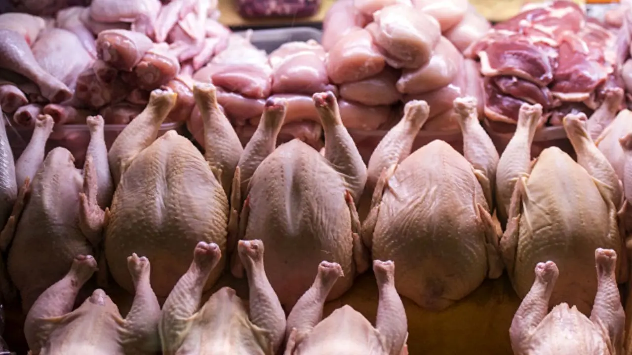کاهش 700 تومانی نرخ مرغ در بازار/قیمت مرغ به 13 هزار و 500 تومان رسید