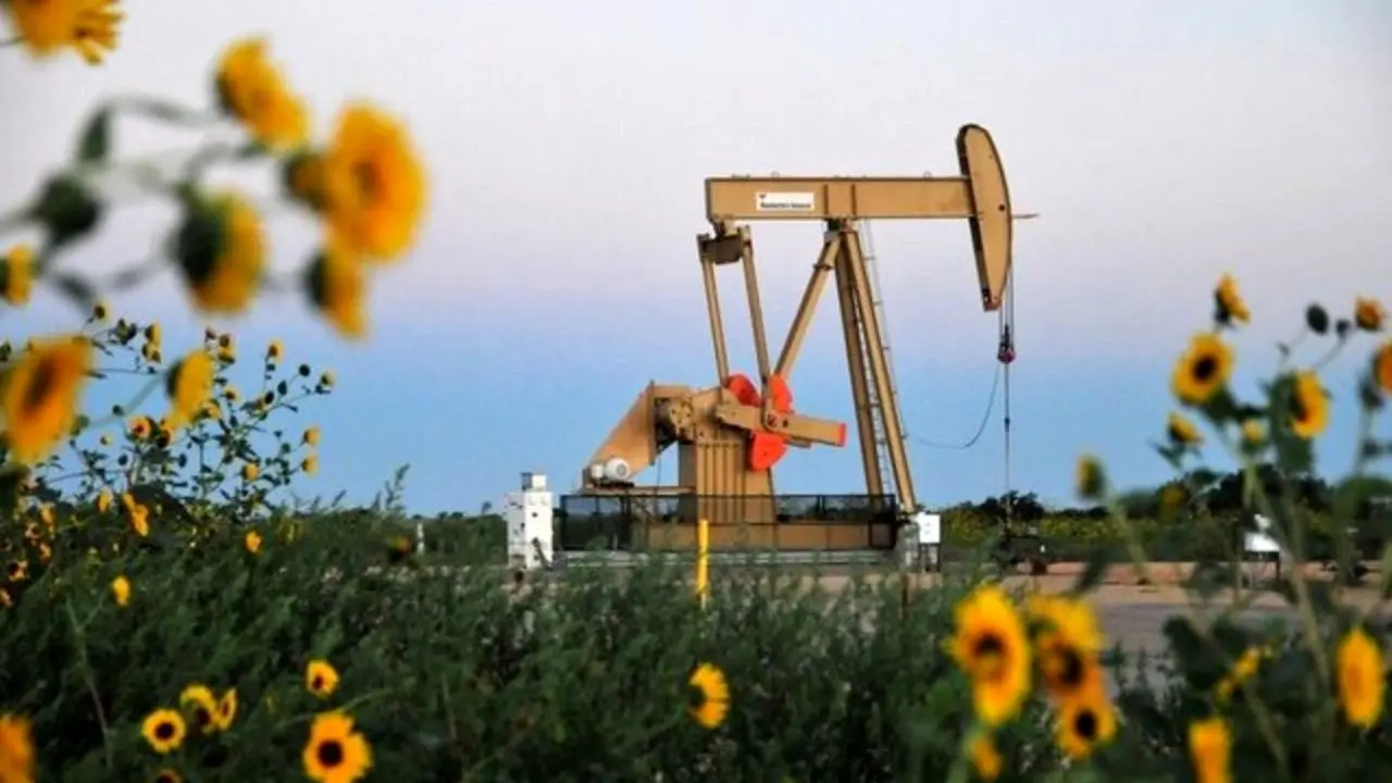 صعود تولید نفت آمریکا به بالای 13 میلیون بشکه