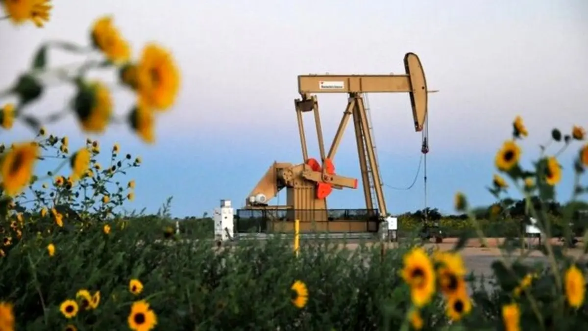 صعود تولید نفت آمریکا به بالای 13 میلیون بشکه