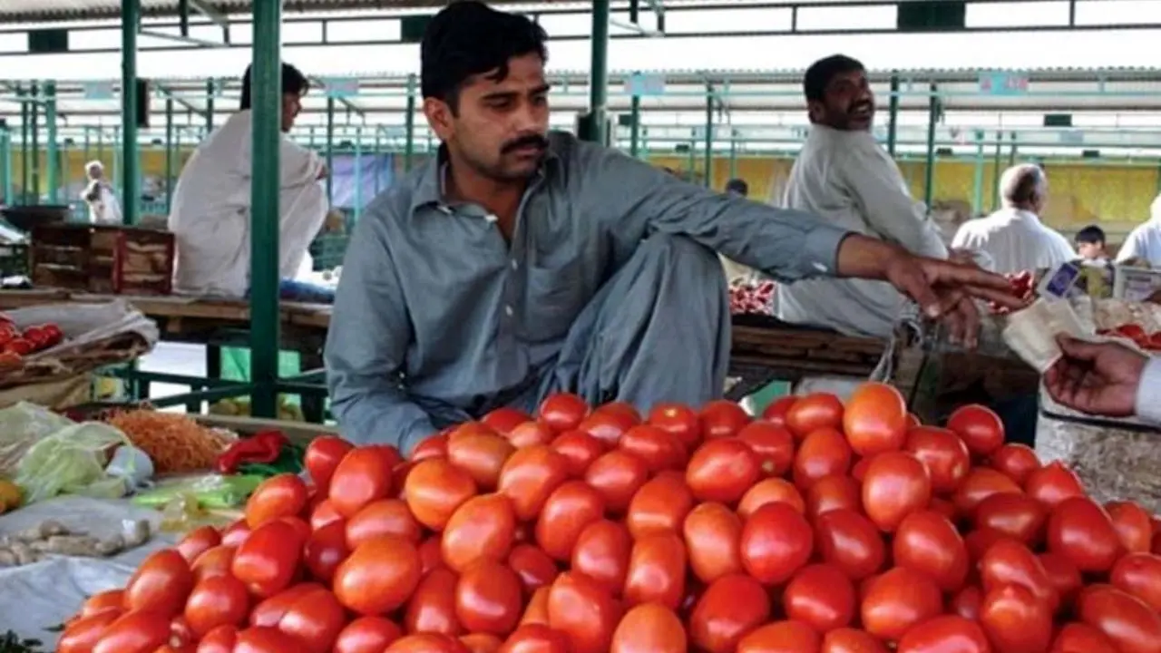 فروش گوجه فرنگی ایرانی با قیمت 14 هزار تومان در پاکستان