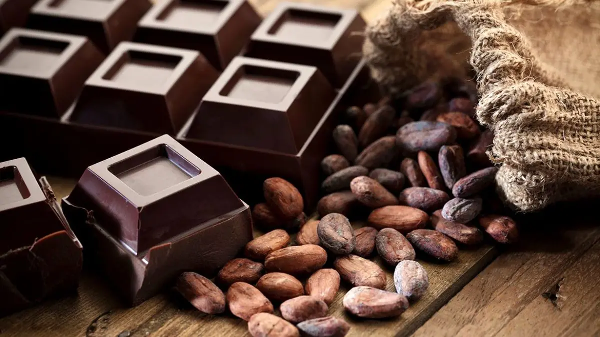 رازهایی بزرگ درباره شکلات تلخ که شما را شگفت‌زده می‎‌کند!