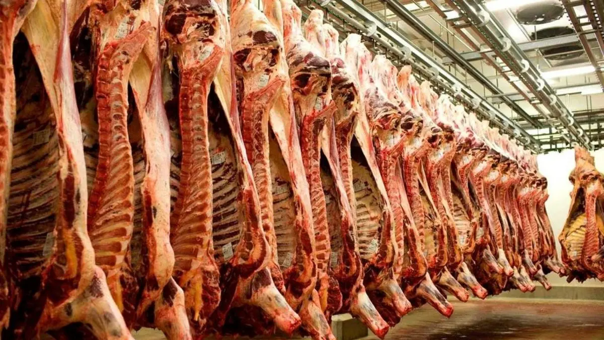 سودجویان اجازه کاهش قیمت گوشت در بازار را نمی‌دهند