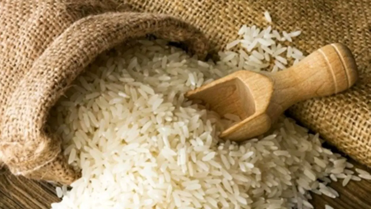 ضرورت واردات 450 هزار تن برنج خارجی تا پایان سال!
