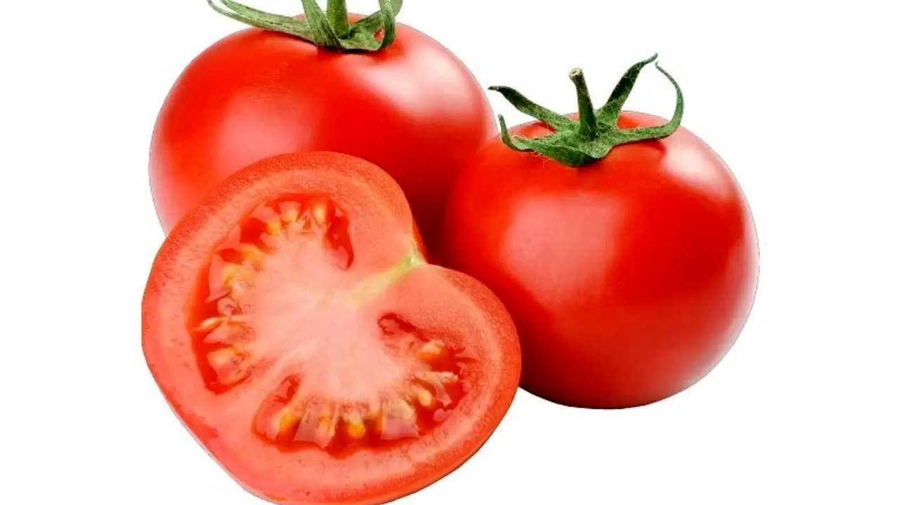 کاهش قیمت گوجه فرنگی تا 10 روز آینده/ جابه‌جایی فصلی عامل گرانی