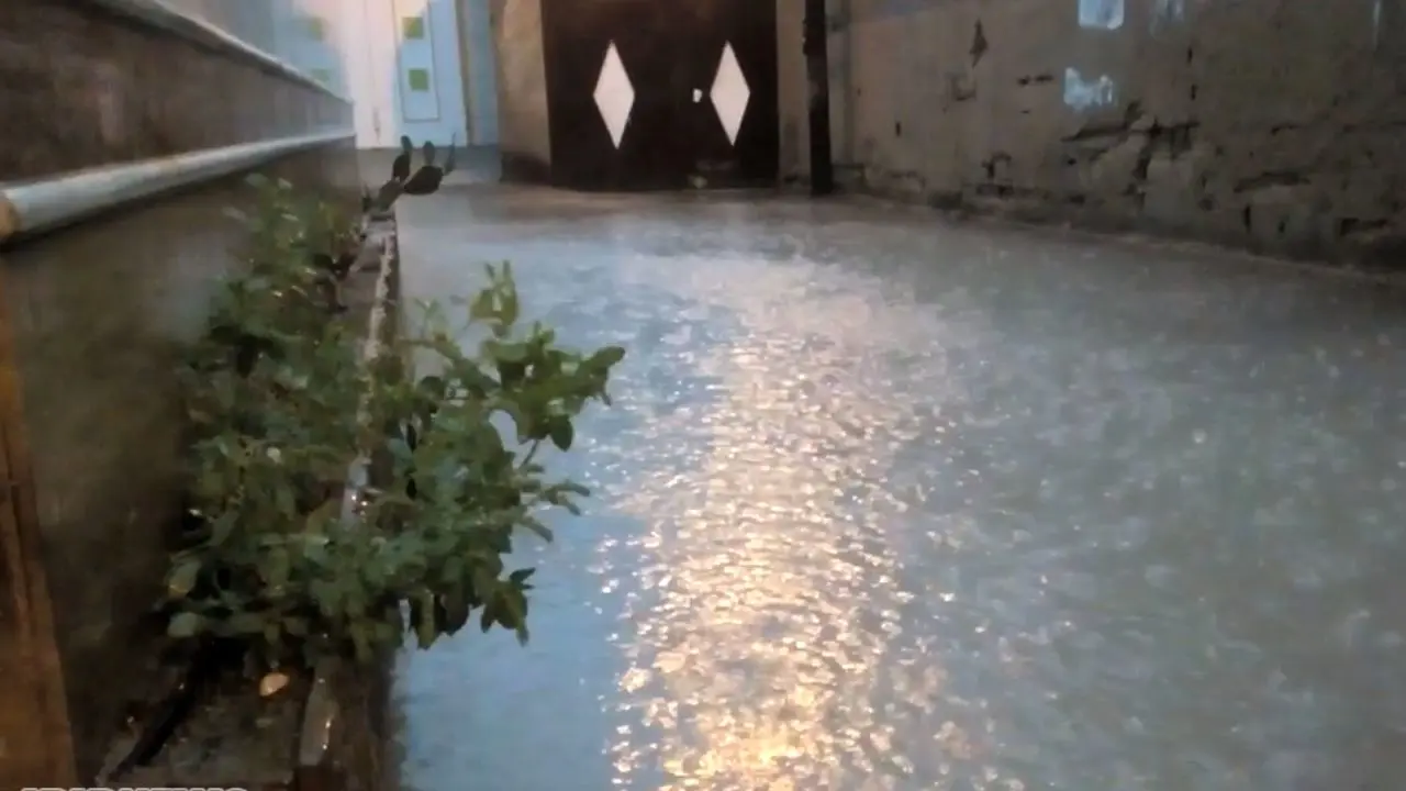 تعطیلی مدارس گناوه و دیلم به علت بارندگی