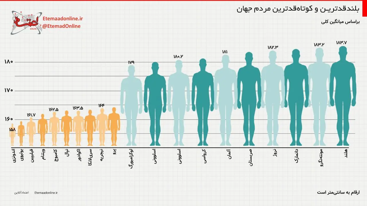 اینفوگرافی| بلندقدترین و کوتاه‌قدترین مردم جهان