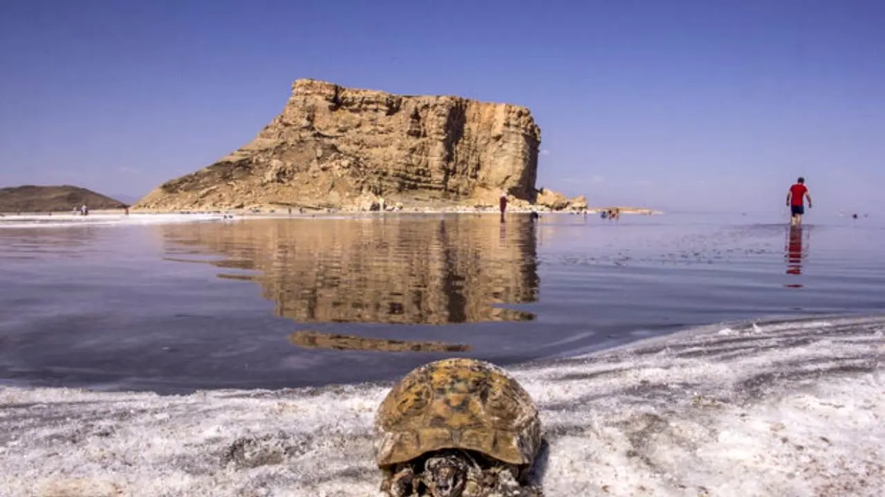 افزایش 84 سانتی متری تراز دریاچه ارومیه