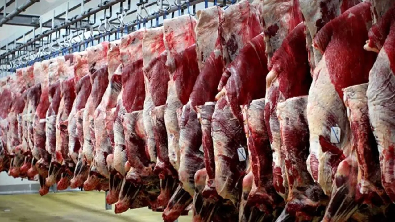 خرید تضمینی گوشت قرمز برای جلوگیری از ضرر و زیان دامداران