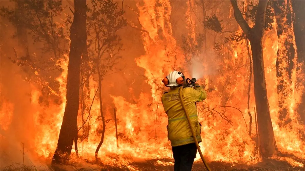 ارتفاع آتش در جنگل‌های استرالیا به 70 متر رسید + ویدئو