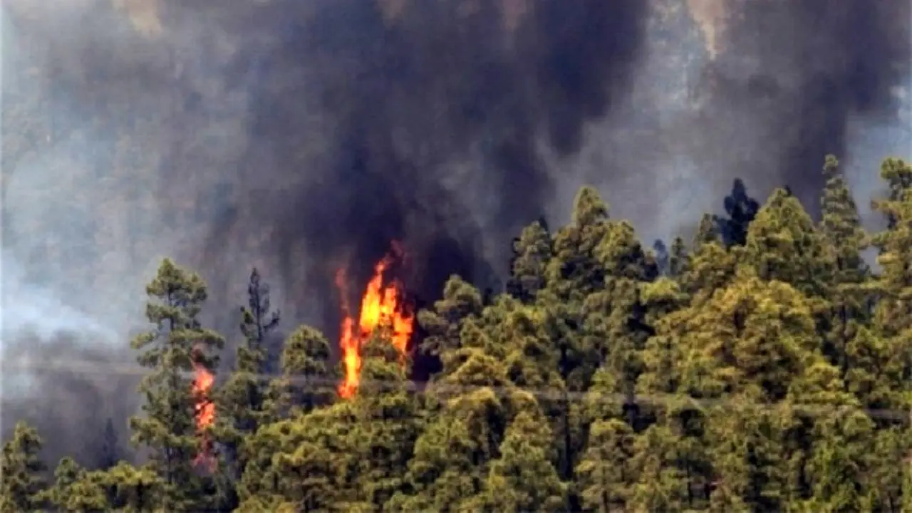 68 هکتار از جنگل‌های گیلان در آتش‌ سوخت