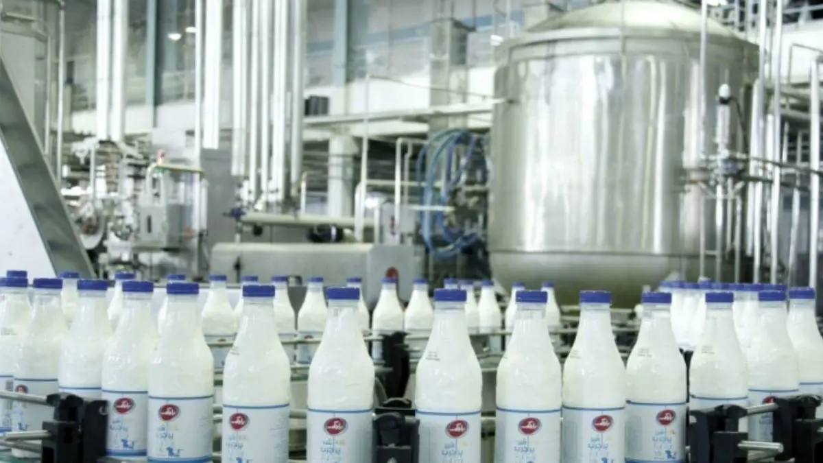 فعالیت 400 کارخانه شیر پاستوریزه در کشور/ در حوزه‌ تولید شیر خام رتبه 11 دنیا هستیم