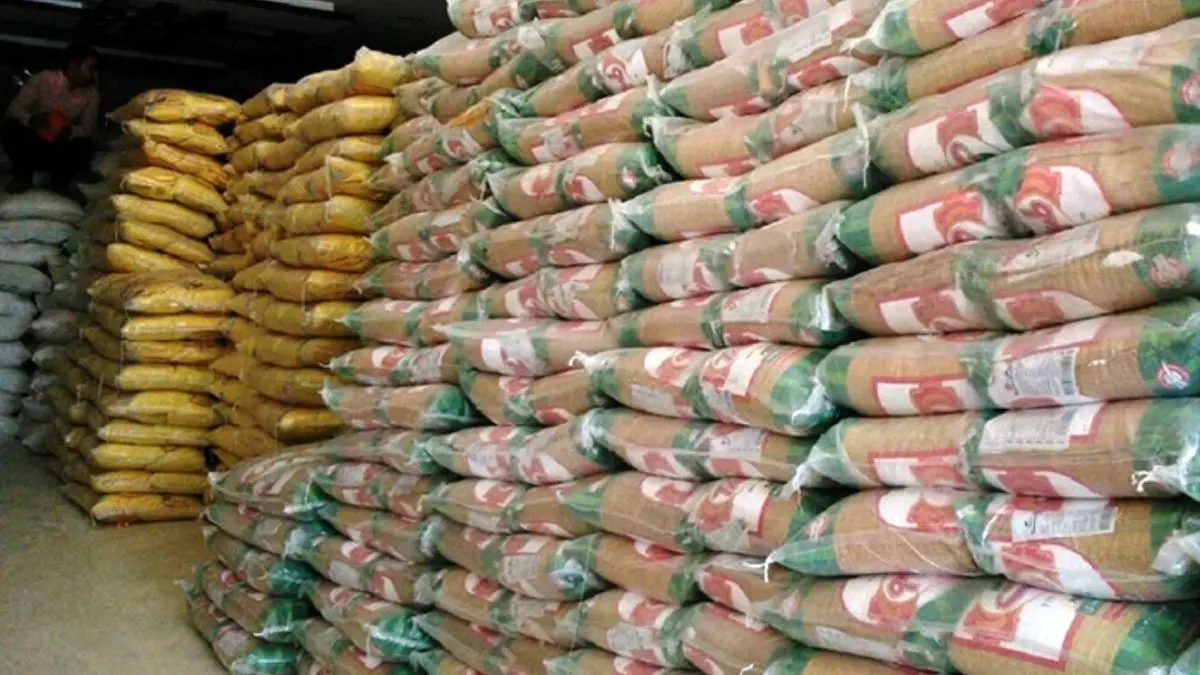 انتقاد از عدم ترخیص برنج‌های رسوب شده در گمرکات