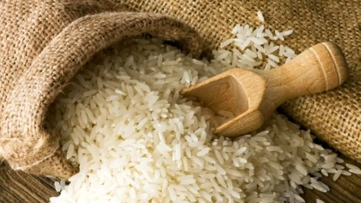 بهانه گیری جدید صادرکنندگان برنج هندی به ایران
