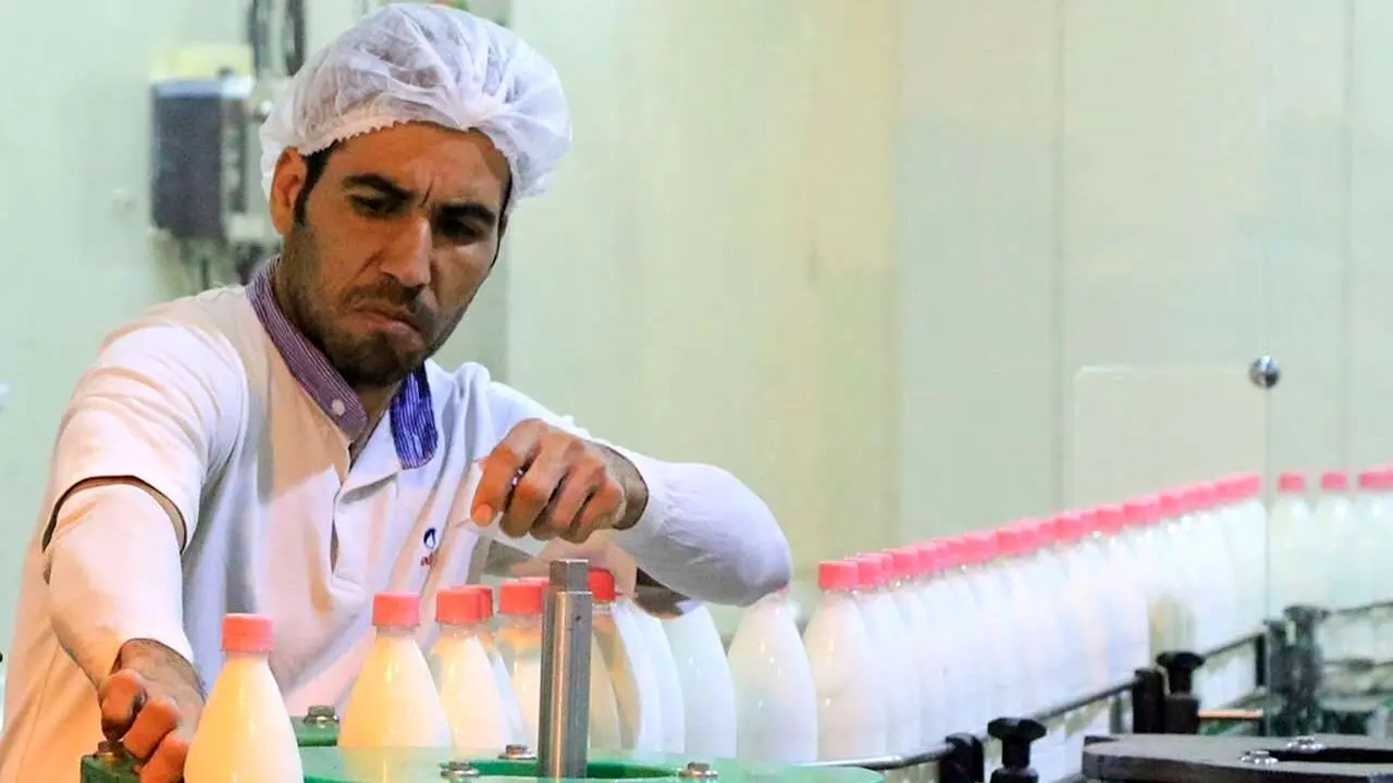 استاندارد سم آفلاتوکسین در ایران، 5 برابر سختگیرانه‌تر از استاندارد جهانی