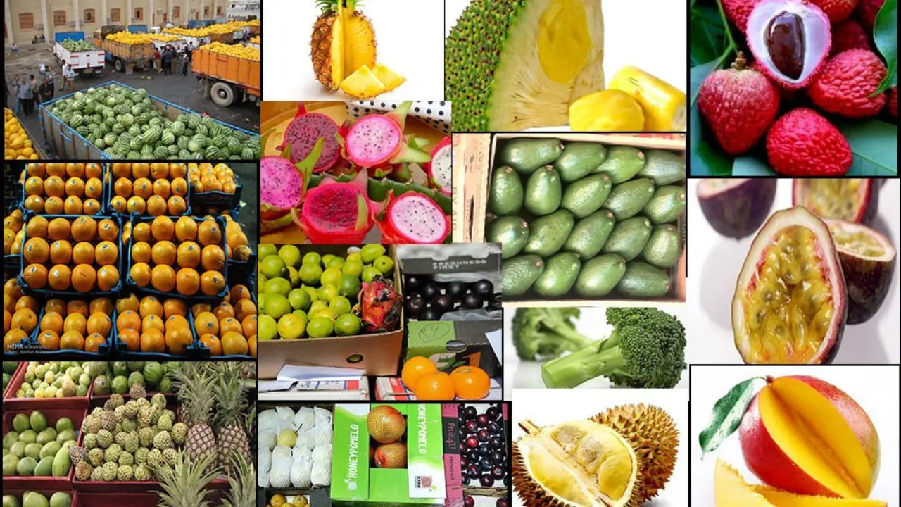 قاچاق میوه‌های عجیب و غریب با هواپیما! / فروش میوه قاچاق کیلویی 300 هزار تومان!