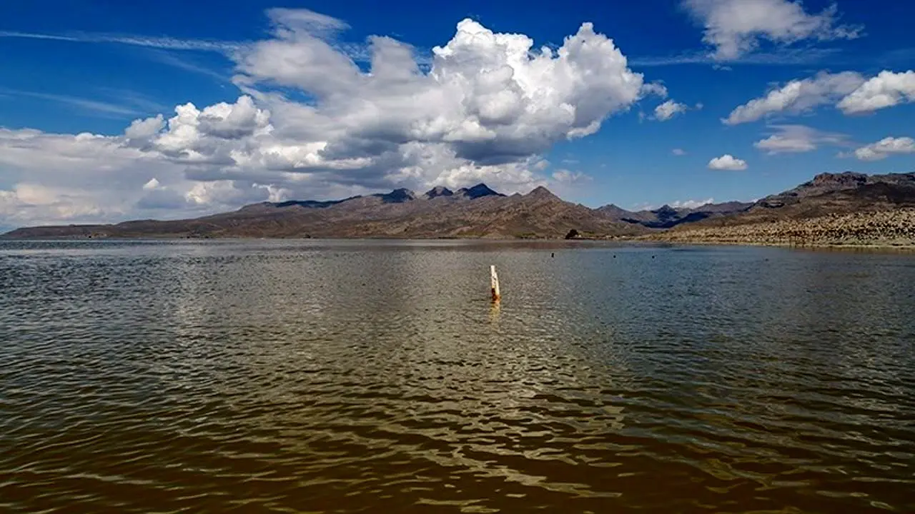 تراز دریاچه ارومیه روند افزایشی به خود گرفته است/ تلاش اداره کل حفاظت محیط زیست برای جلوگیری از انقراض«میش‌مرغ»