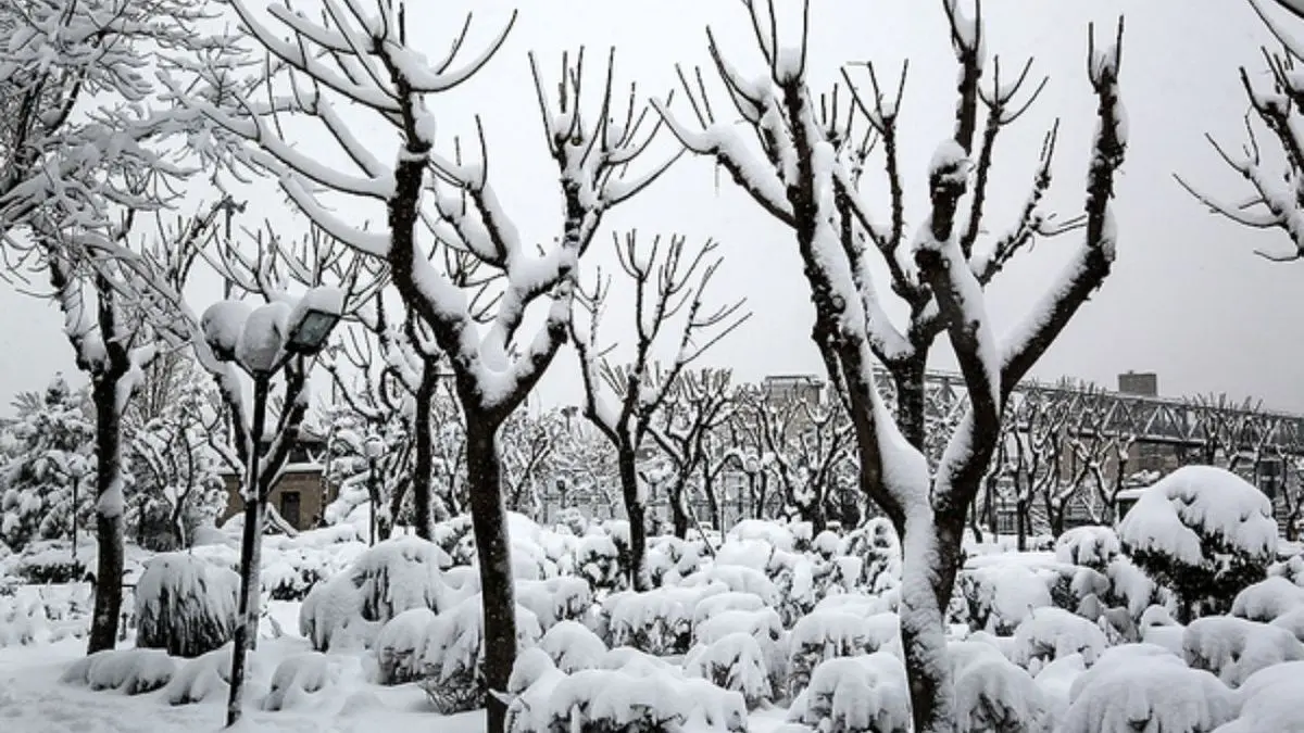 آماده باش شهرداری تهران برای برف روبی