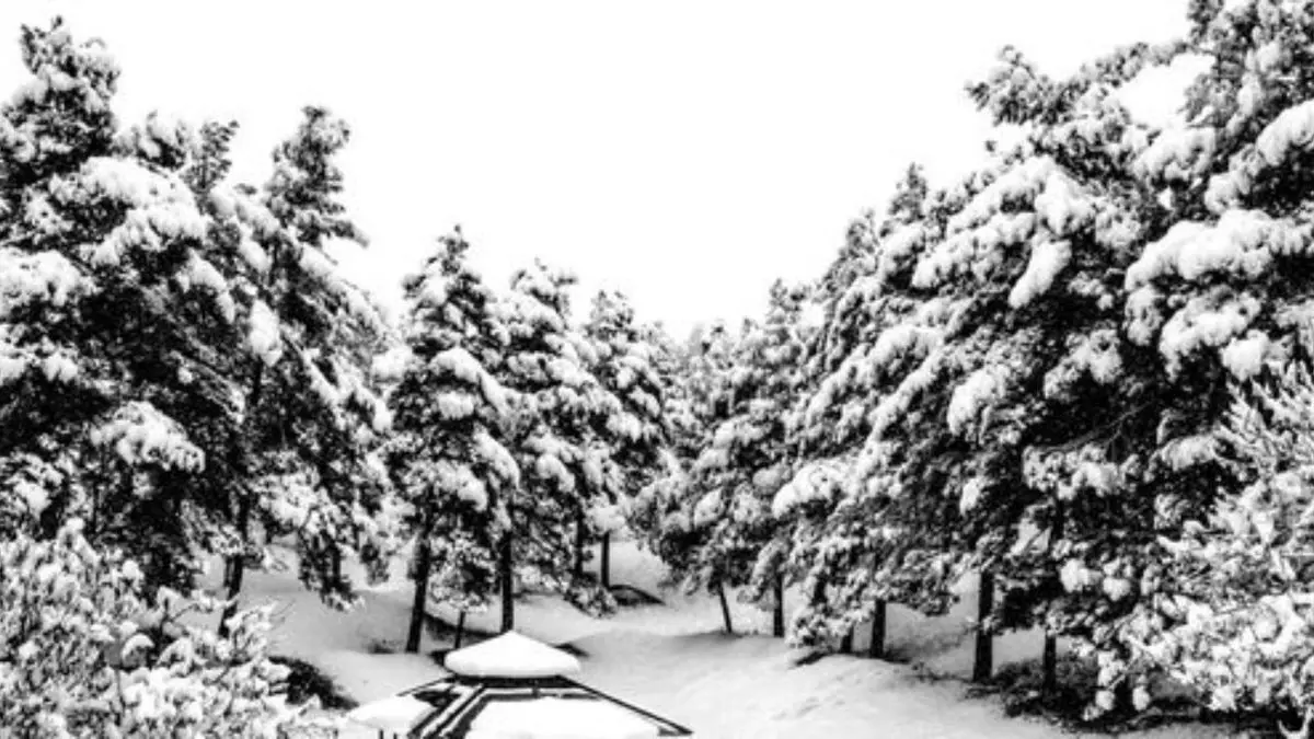 بارش مجدد برف در کشور از جمعه/ روز جمعه آسمان تهران صاف است/ پیش‌بینی لغزندگی و اختلال تردد در معابر شهری و محورهای مواصلاتی در نیمی از مناطق کشور