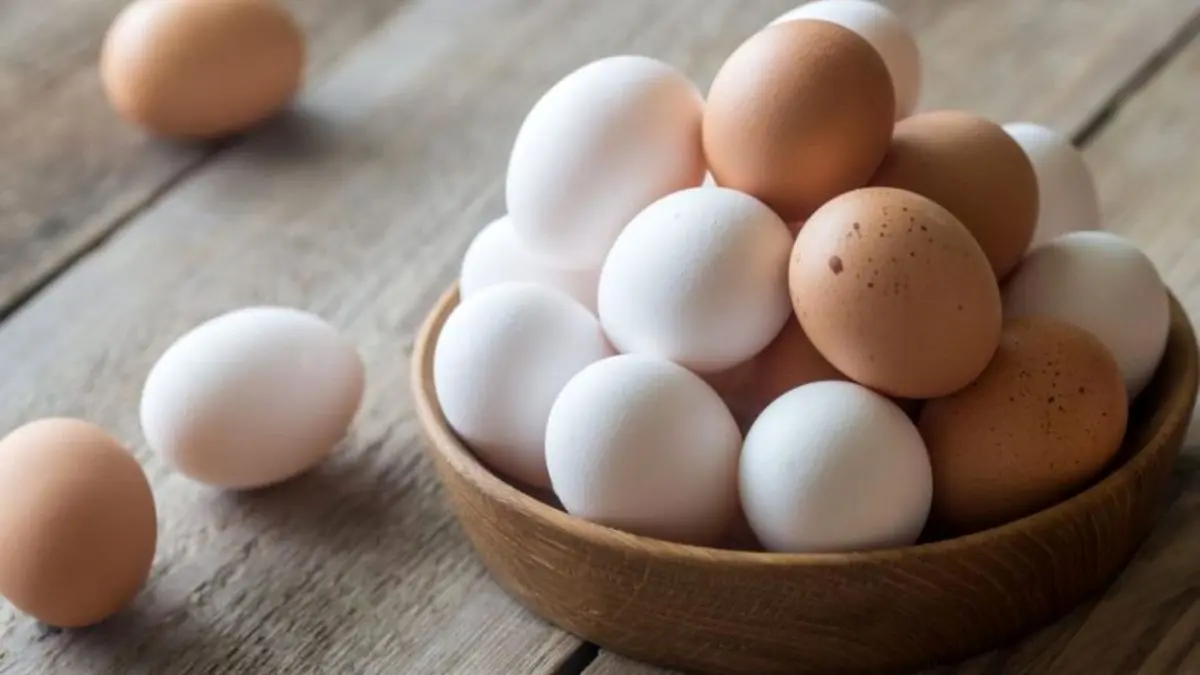 تخم‌مرغ گران نمی‌شود/ پیک مصرف تخم‌مرغ را کنترل می‌کنیم