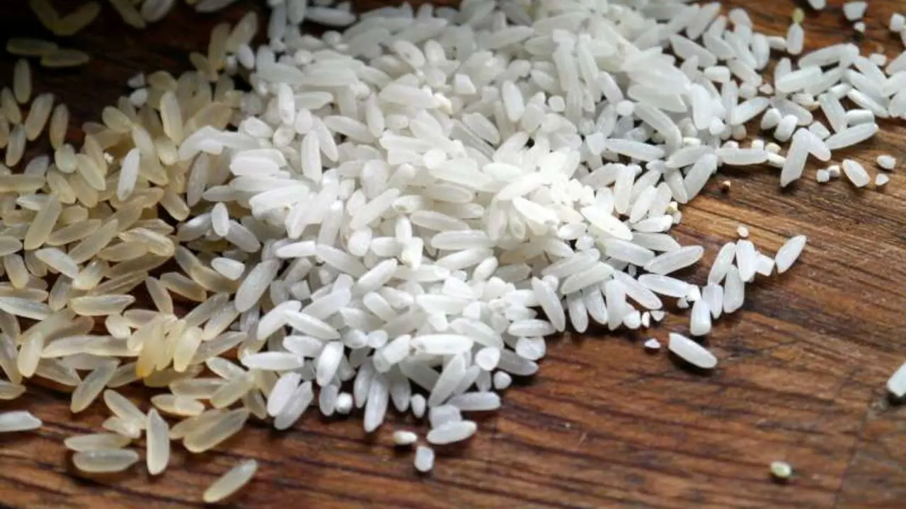 برنج مصنوعی در ایران وجود ندارد