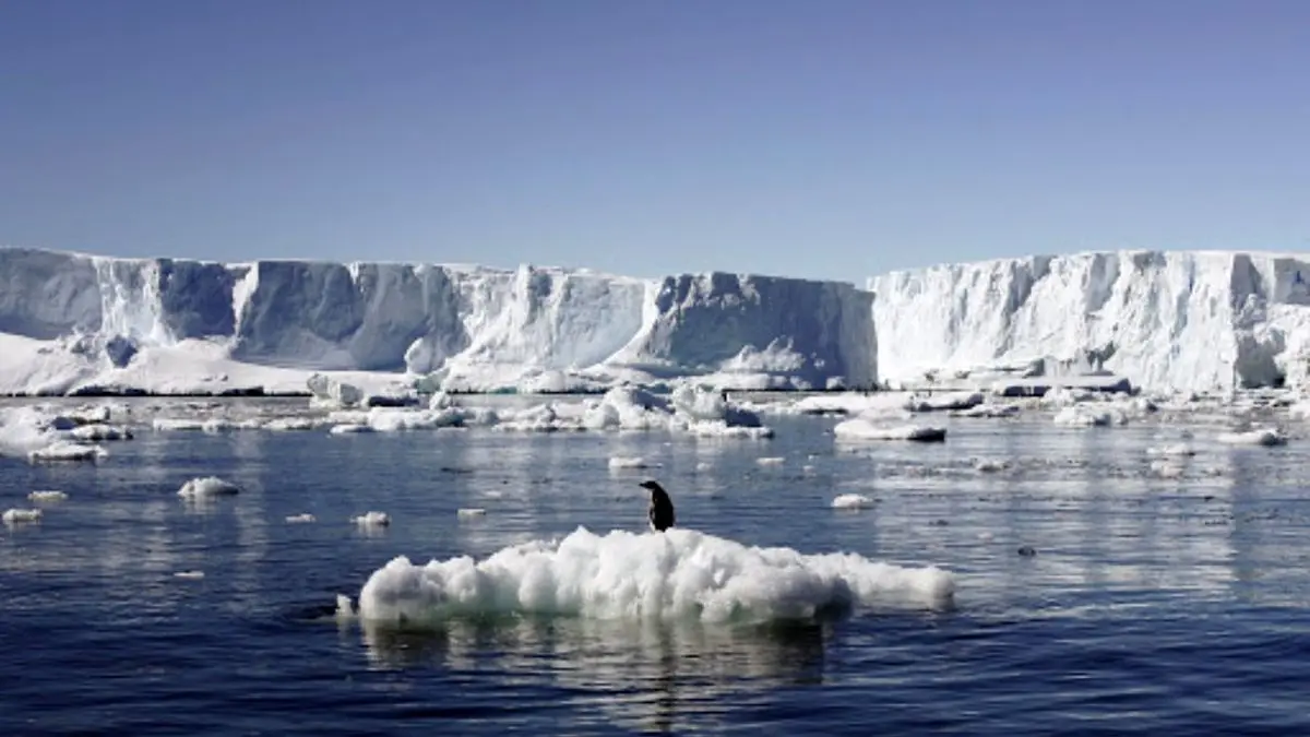 رکورد جدید گرمای هوا در قطب جنوب ثبت شد